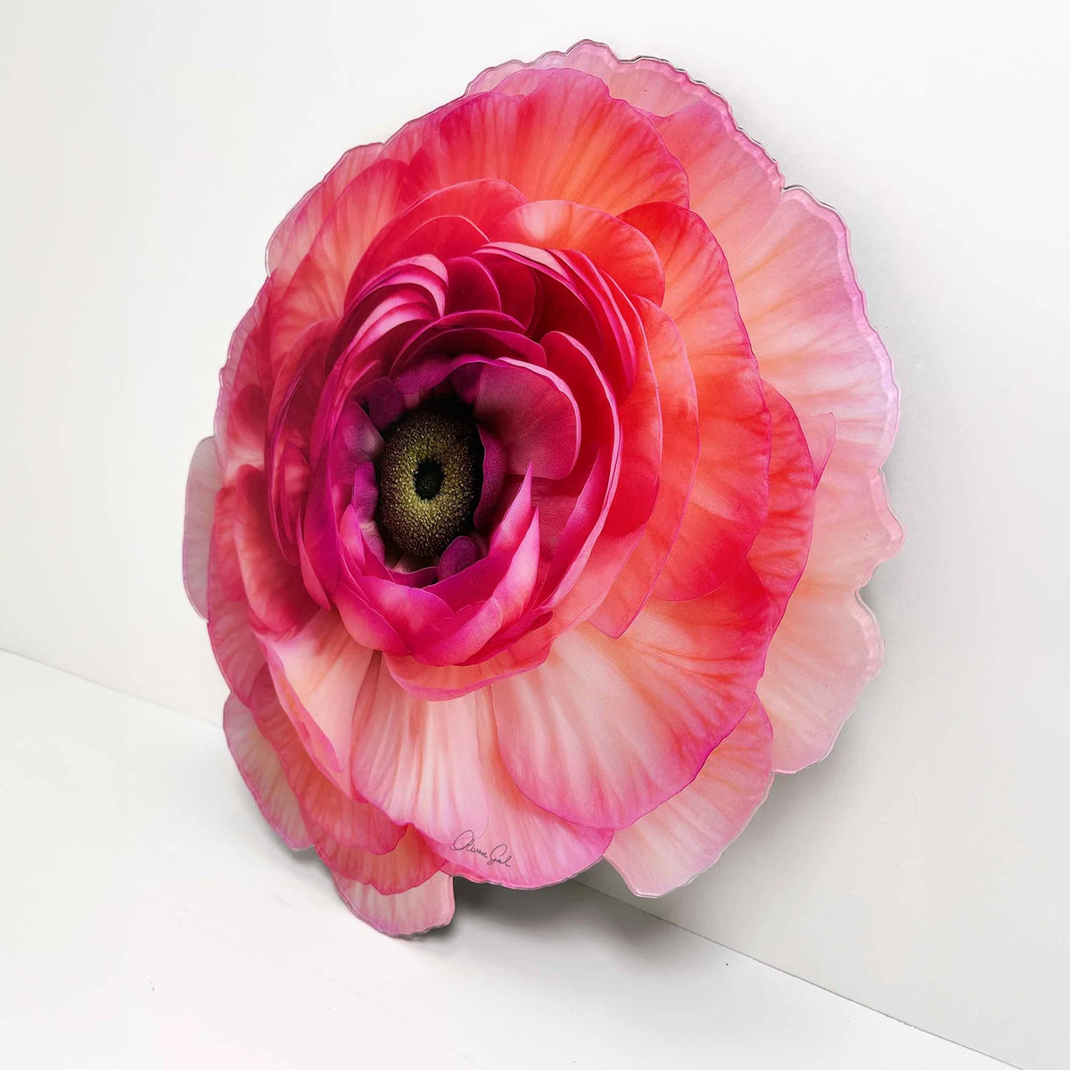 Floral Acrylic Silhouette - Ranunculus