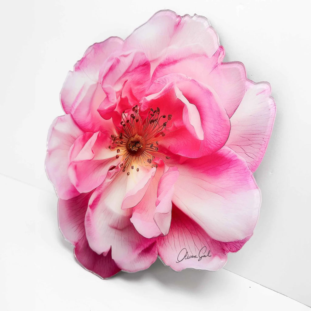 Floral Acrylic Silhouette - Rose