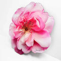 Floral Acrylic Silhouette - Rose