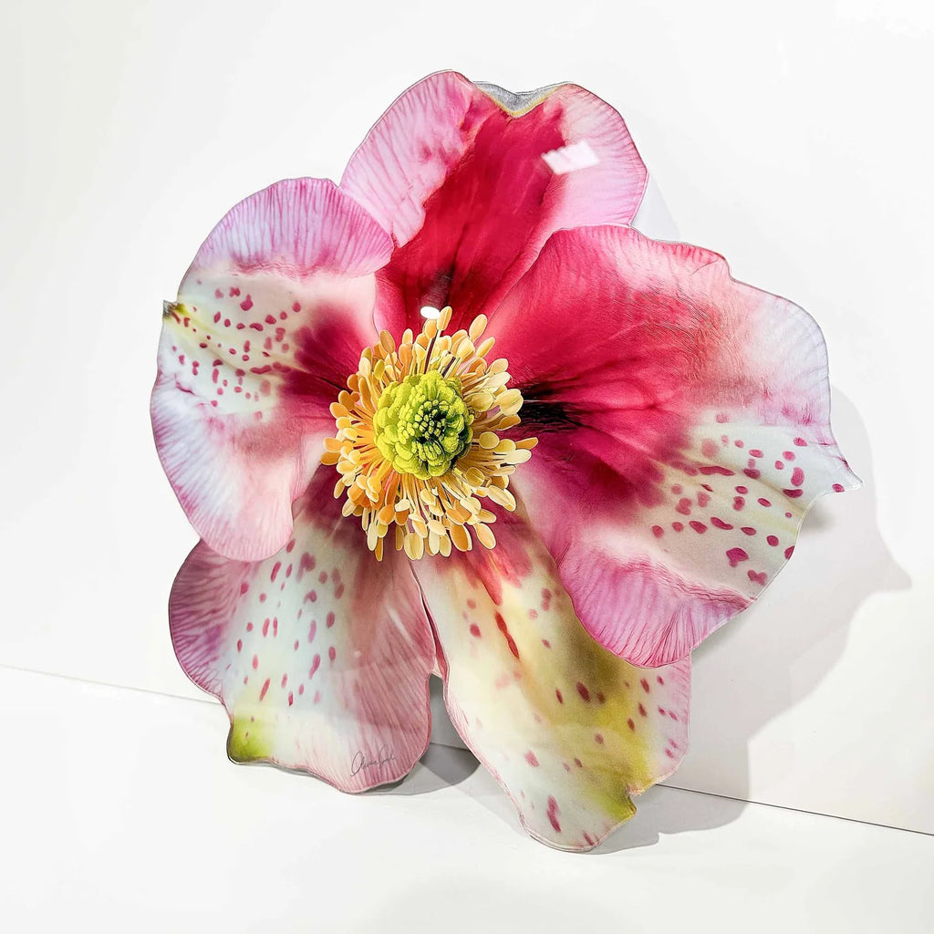 Floral Acrylic Silhouette - Hellebore