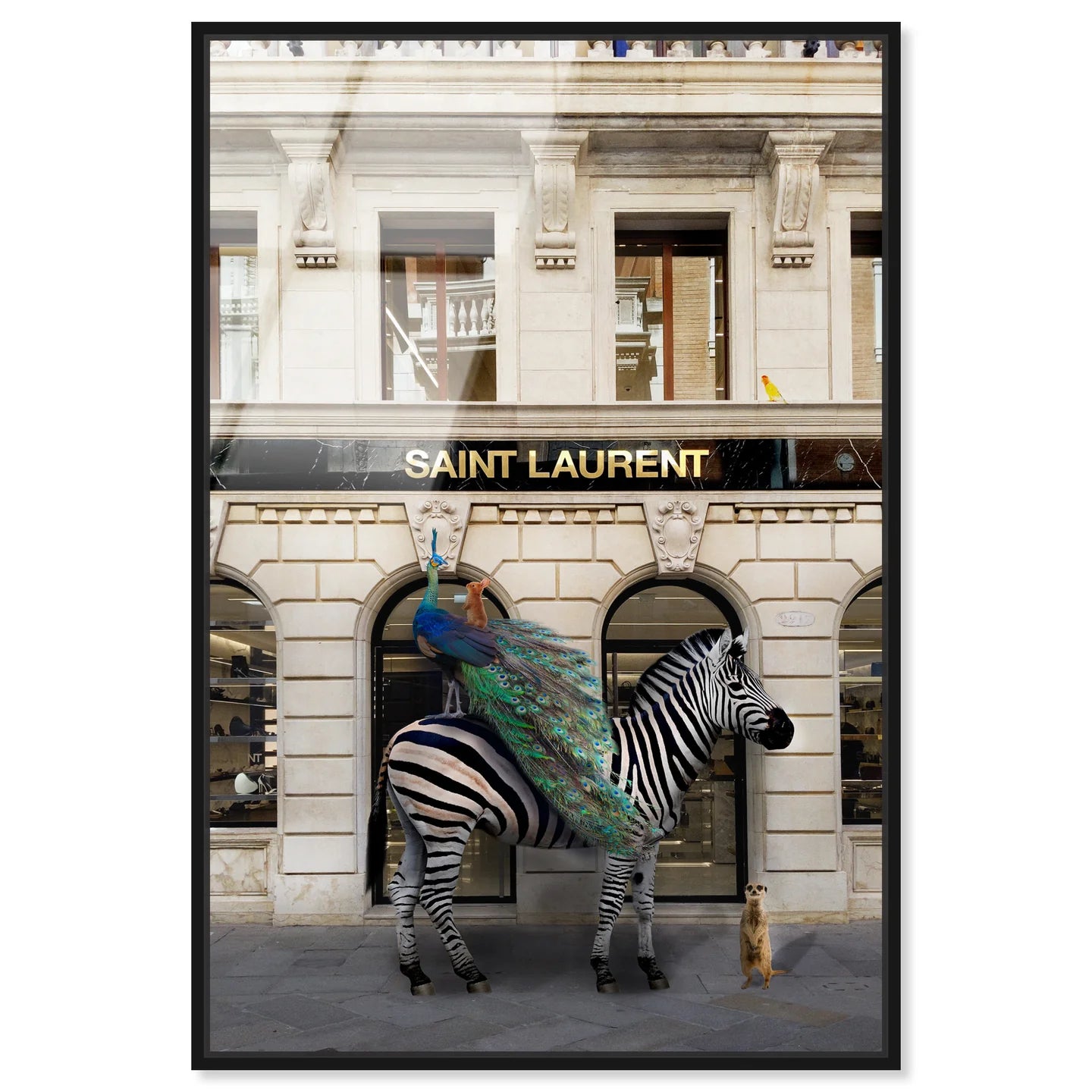 Team Laurent | Oliver Gal