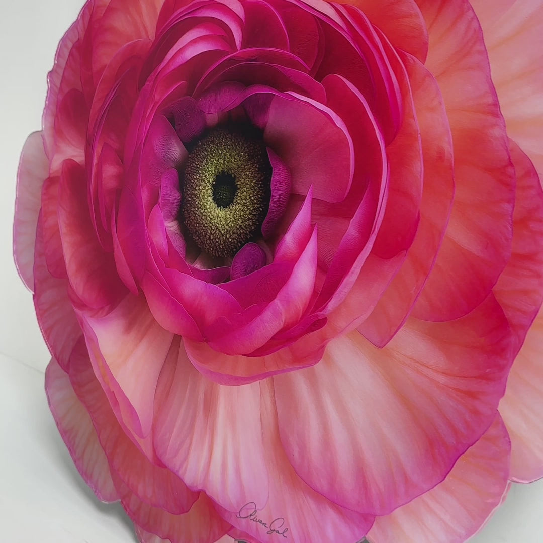 Floral Acrylic Silhouette - Peony